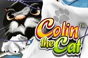 Colin The Cat